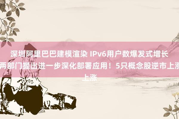 深圳阿里巴巴建模渲染 IPv6用户数爆发式增长 两部门提出进一步深化部署应用！5只概念股逆市上涨