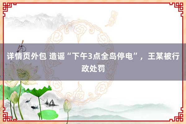 详情页外包 造谣“下午3点全岛停电”，王某被行政处罚